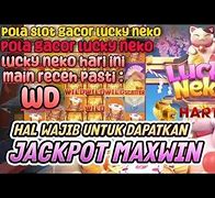 Pola Slot Lucky Neko Hari Ini